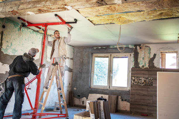 Best Commercial Insulation in Rich Hill, MO